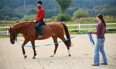 Horse riding instructor