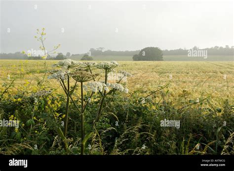 Worcestershire countryside England Stock Photo - Alamy