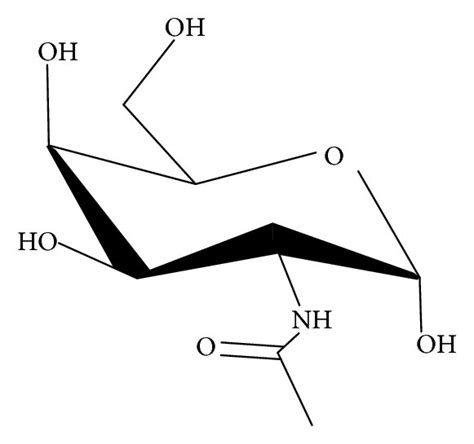 Structure of GalNAc and GlcNAc: (a) GalNAc and (b) GlcNAc. | Download ...