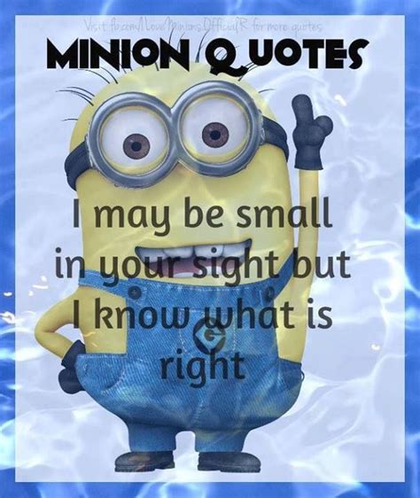 17 Best images about Minion quotes on Pinterest