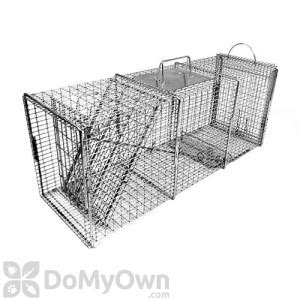 Raccoon Traps, Raccoon Live Trap, Raccoon Trapping - Free Shipping