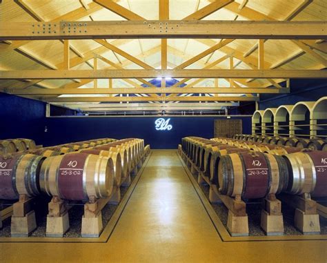 Spain's Wine Treasures: Guide to the Top 10 Wineries | Cellar Tours™