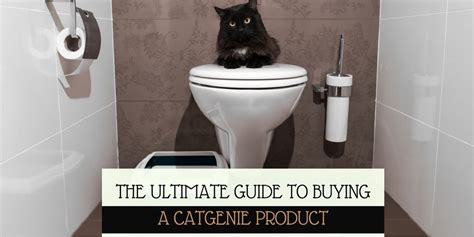 Catgenie Reviews: The Ultimate Guide To Buying A Catgenie Product ...