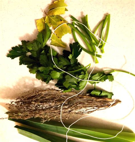 Bouquet garni - composition and ingredients to prepare it yourself