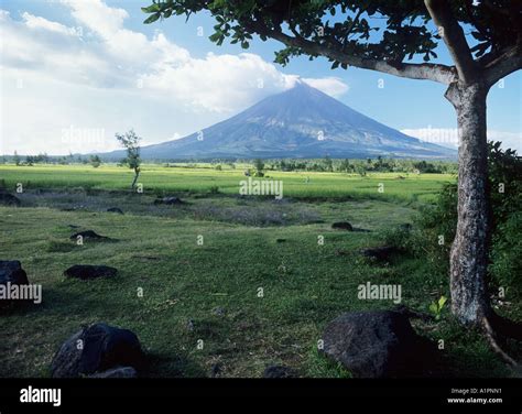 Mayon Volcano, Bicol, Philippines Stock Photo - Alamy