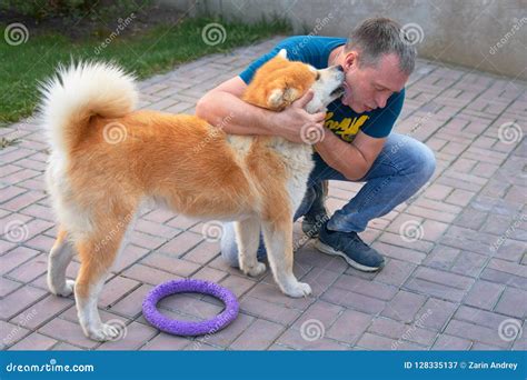 Red Dog Licks the Face of the Owner. Concept: Love and Devotion Stock Image - Image of adorable ...