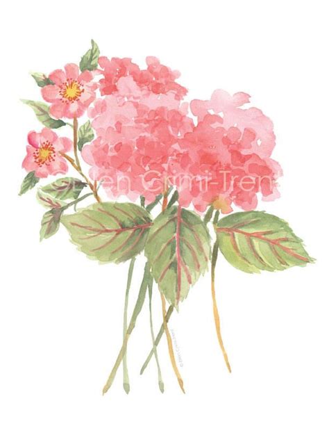 Watercolor Pink Hydrangea/ Watercolor Wall Art/pink Flowers/watercolor Wall Art/gifts for Her ...