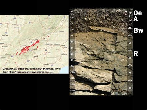 Inceptisols | Soil & Water Systems | University of Idaho