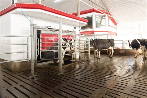 Features of the New Lely Astronaut A5 Robotic Milking System