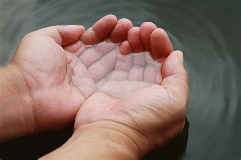 Free photo: Water in Hands - Activity, Hands, Human - Free Download - Jooinn