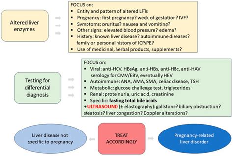 JPM | Free Full-Text | Diagnostic Approach to Elevated Liver Function Tests during Pregnancy: A ...