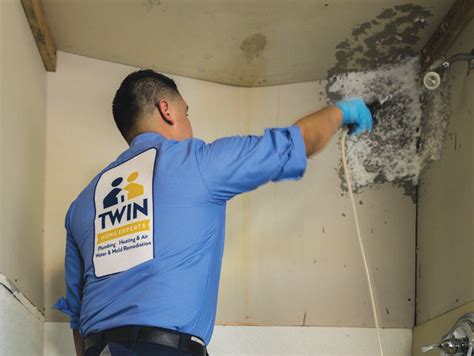 Bathroom Mold Removal Services With Twin Home Mold Removal