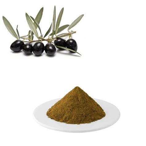 Olive Leaf Extract 10:1 TLC – Hongda Online – More than 20 years herb ...