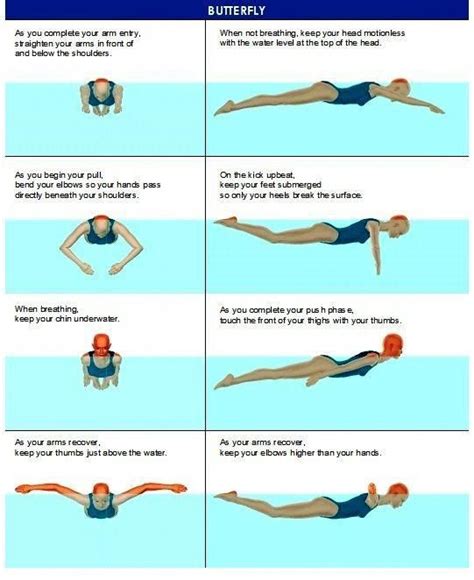 Freestyle and Breaststroke #tennislessons | Swimming drills, Swimming ...