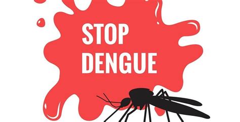 How to prevent Dengue? – Dicksnationals