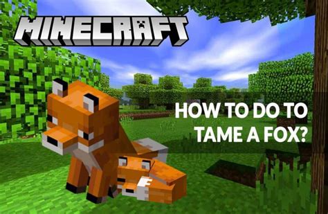 Guide Minecraft 1.14 how to tame a fox | Kill The Game