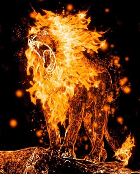 Fire lion, Lion art, Fire art