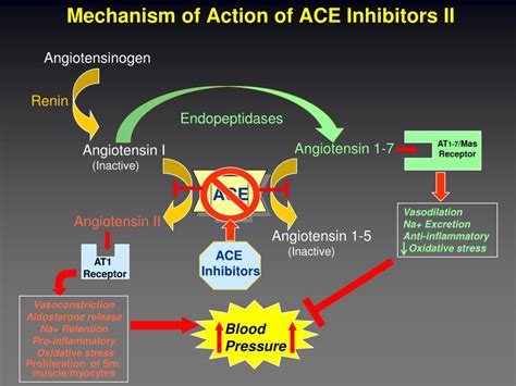 PPT - ACE Inhibitors PowerPoint Presentation, free download - ID:1877497