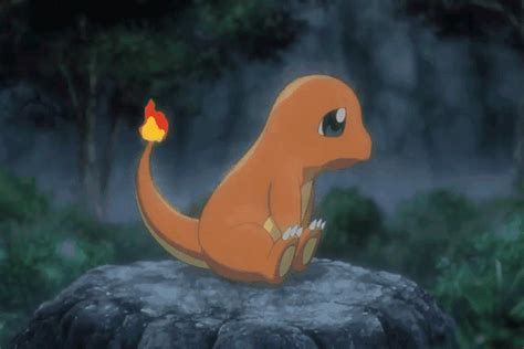 Charmander Pokémon- Best Moveset, Evolution, Behavior