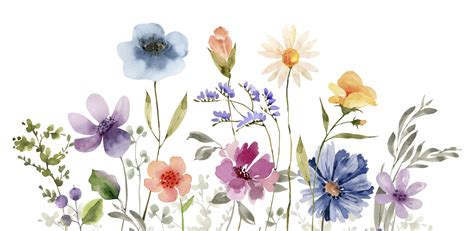 Border multicolored flowers, watercolor illustration for design. 17216893 PNG