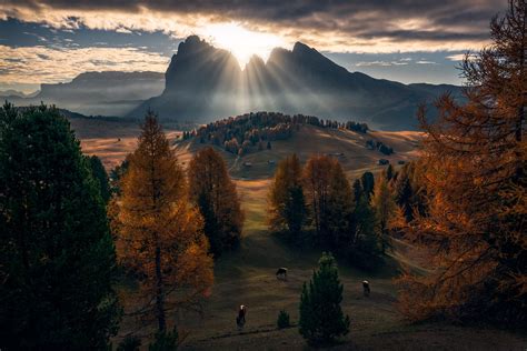 Dolomites (mountains), Nature, Fall, Clouds, Animals Wallpapers HD / Desktop and Mobile Backgrounds