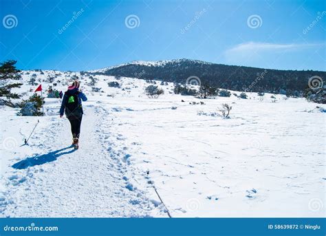 Hallasan Mountain at Jeju Island Korea in Winter Editorial Photography ...