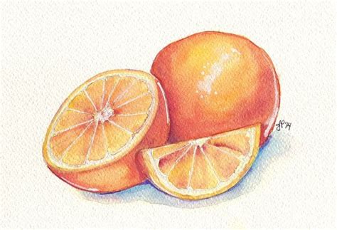 Oranges Still Life Watercolor Painting Orange Fruit Slice | Etsy | Watercolor fruit, Fruit ...