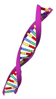 Dna Double Helix Animation