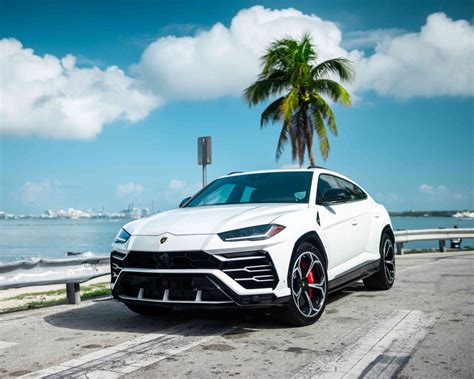 2019 Lamborghini Urus – White | MVP Miami Exotic Rentals