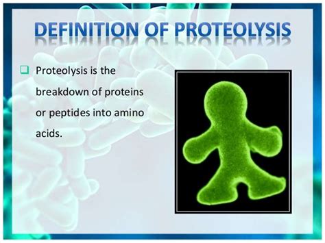 Proteolysis