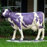 Purple Cow | Flickr - Photo Sharing!