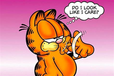 Garfield the Cat Personality Type, Zodiac Sign & Enneagram | So Syncd