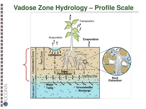 PPT - Introduction to Vadose Zone Hydrology PowerPoint Presentation ...