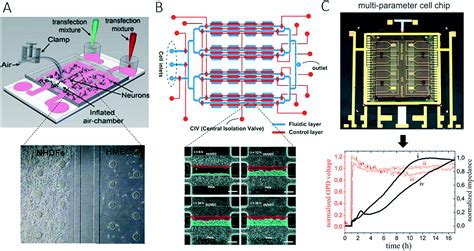 Recent advances in microfluidic technologies for cell-to-cell ...