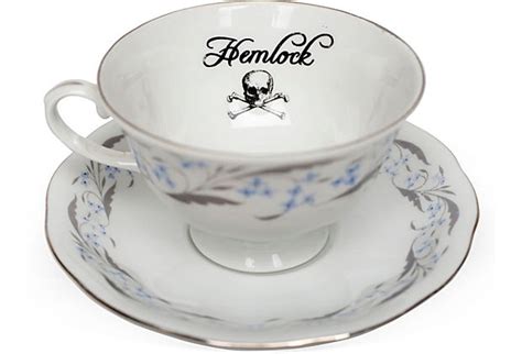 Hemlock Teacup & Saucer | Tea cups, Tea cup saucer, Tea