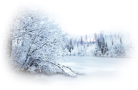 Download Transparent Winter Snow Png - Winter Landscape Transparent - ClipartKey