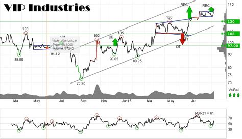 VIP Industries Analysis