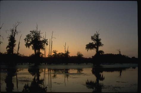 Get lost in Louisiana's Cajun Country