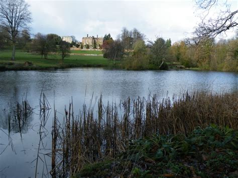 Chilham Castle - Canterbury | NGS Gardens