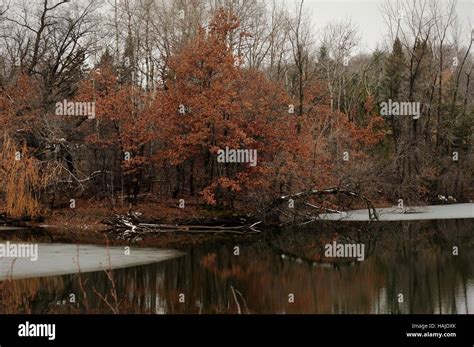 River Landscape During Winter Stock Photo - Alamy