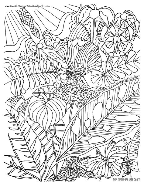 Tropical Rainforest Coloring Pages