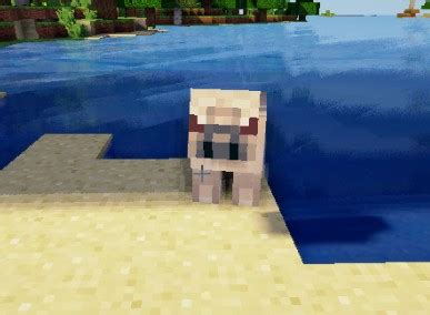 Pug Life Mod! Minecraft Mod