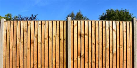 Backyard Dog Fence Ideas & Designs | Freedom Fence Blog