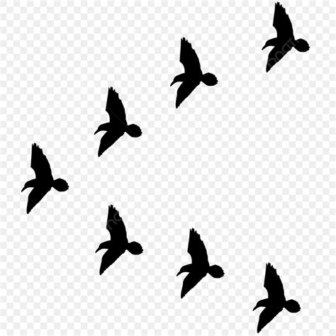 Flying Bird Silhouette Clipart Transparent PNG Hd, Flying Bird Formation Silhouette, Flying Bird ...