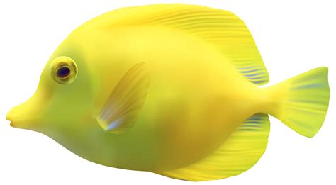 Fish PNG Transparent Images | PNG All