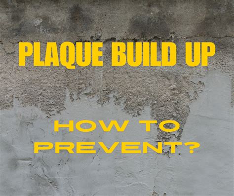 Professional Advice to Reduce Dental Plaque Build-up