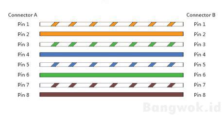 Susunan Warna Kabel Straight dan Crossover Pada UTP - Bangwok.id