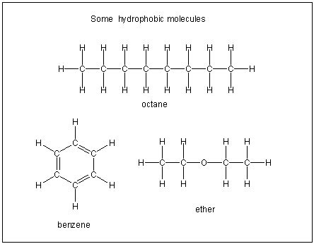 Chapter 10 – Solutions