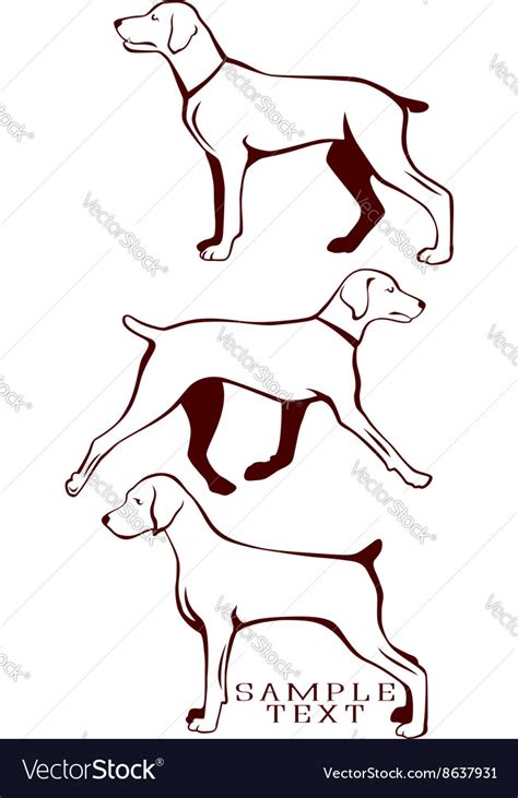 Hunting dog Royalty Free Vector Image - VectorStock