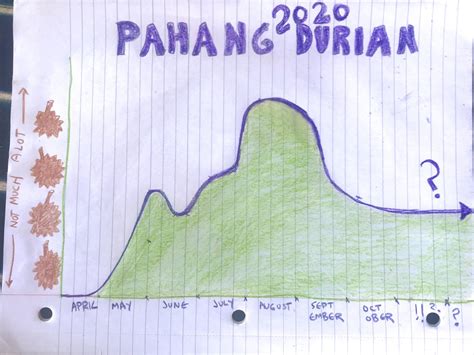 2020 Malaysia Durian Season Guide - Year of the Durian